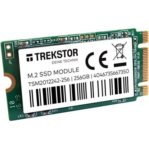 Trekstor 66737 M2 SSD-Modul mit 256GB 